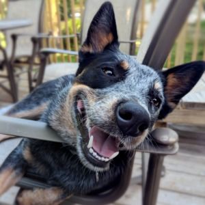 Meet your Posher, Mel